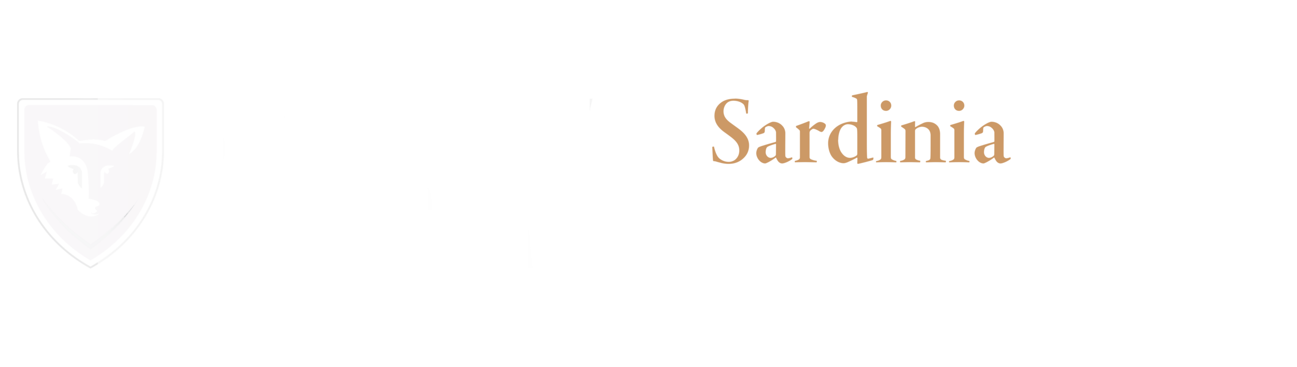 Logo Security Lake Como